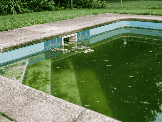 Murky green pool water from algae with the floor out of sight