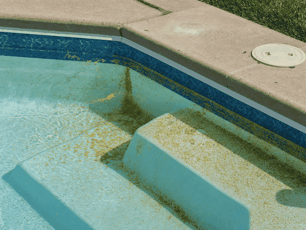 Yellow-brown mustard algae dust on a shady white pool wall